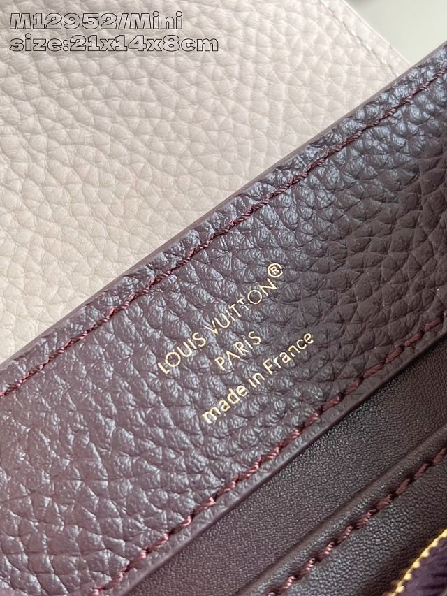 Louis vuitton original calfskin capucines mini handbag M22606 burgundy