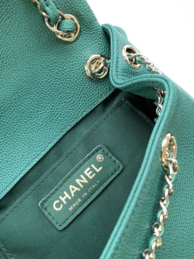 CC original grained calfskin backpack AS3860 green