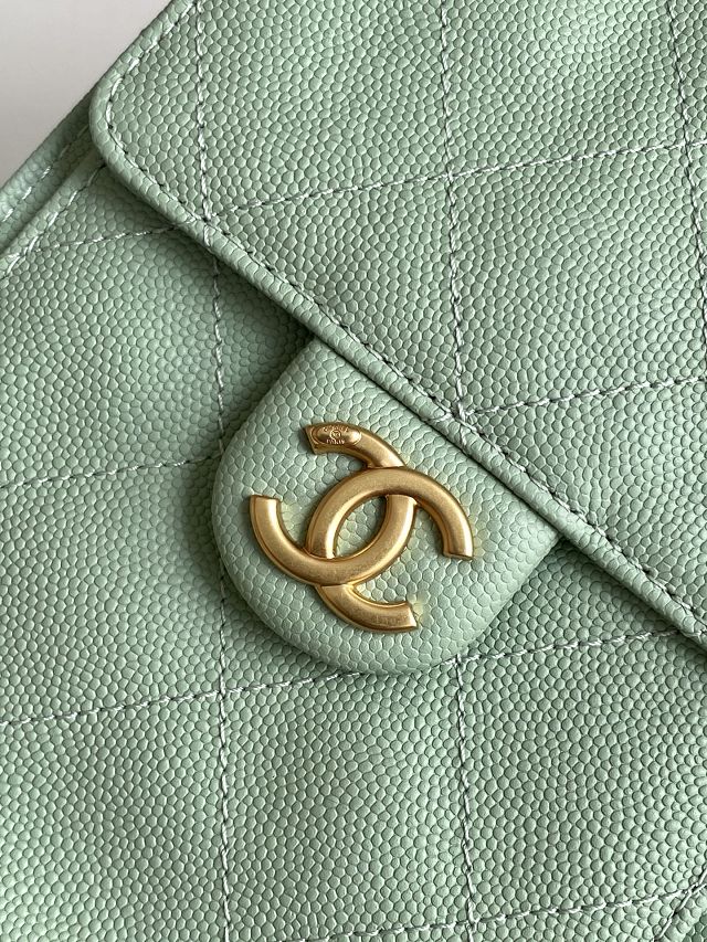 CC original grained calfskin 25 small handbag AS5293 green