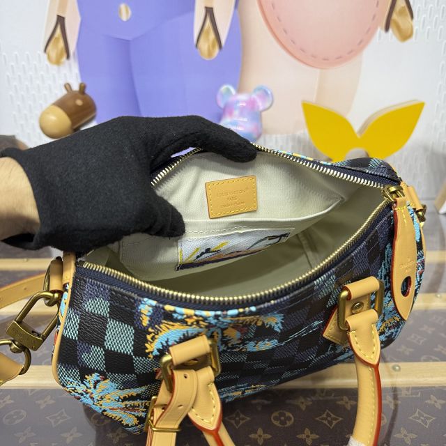 Louis vuitton original damier graphite speedy 25 N00225