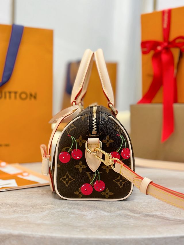 Louis vuitton original monogram canvas speedy 20 M13094