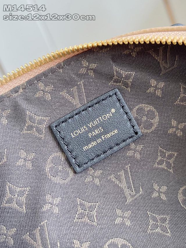 Louis vuitton original calfskin LV biker PM M14514 arizona