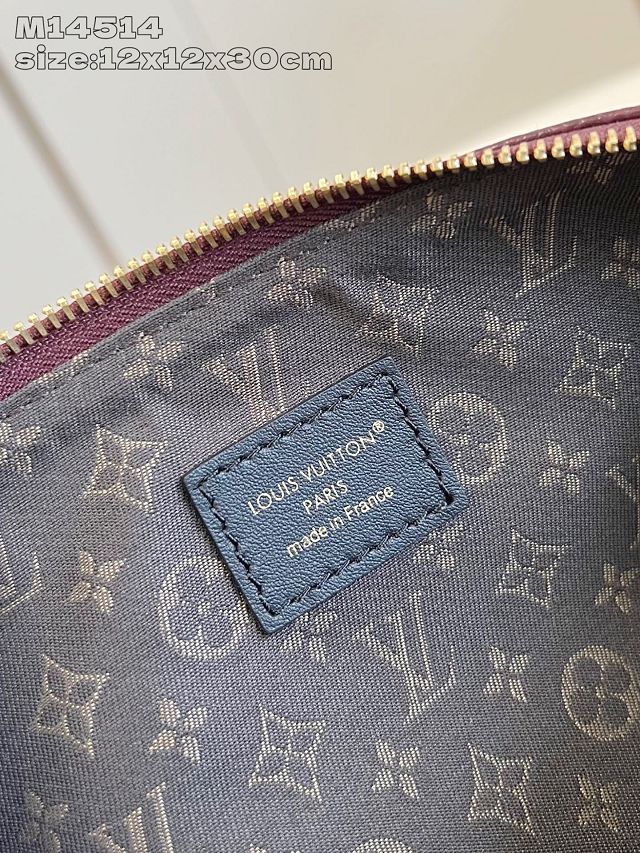 Louis vuitton original calfskin LV biker PM M14514 mahogany