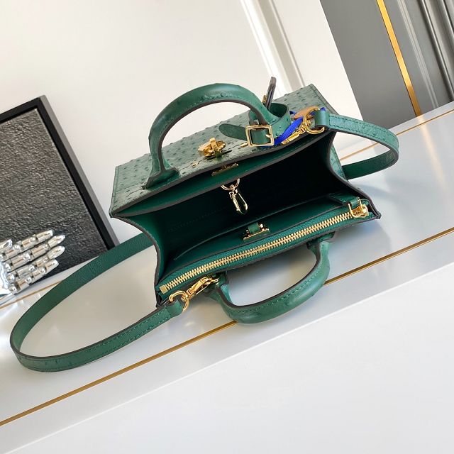 Louis vuitton original ostrich calfskin city steamer mini bag M85454 green