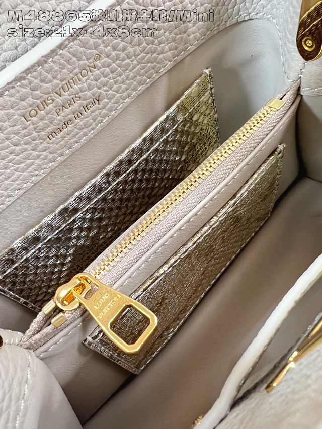 Louis vuitton original calfskin capucines mini handbag N85517 grey