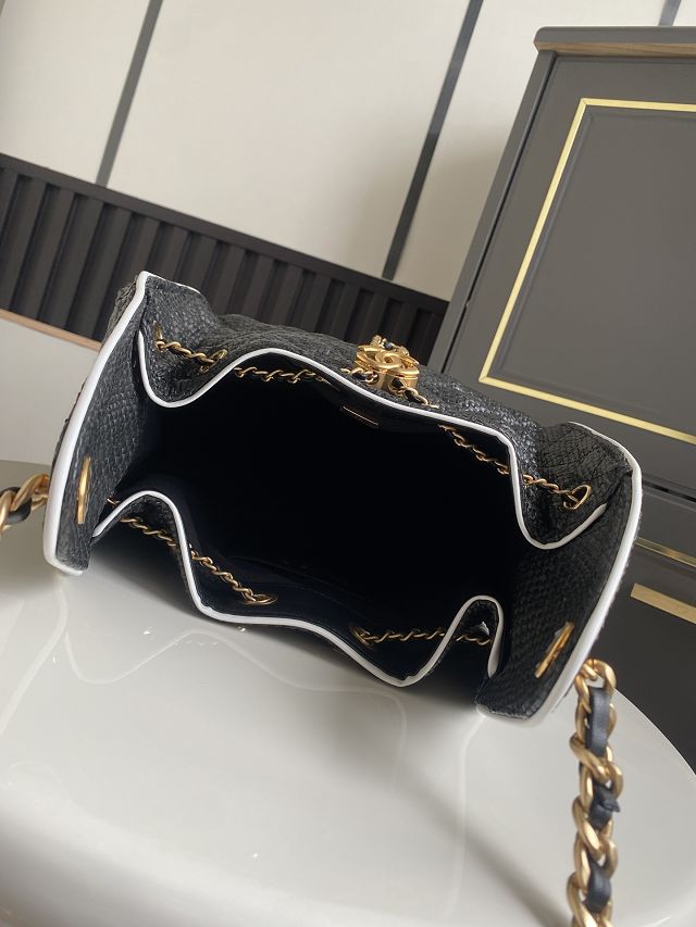 CC original raffia 25 small handbag AS5293 black