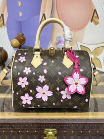 Louis vuitton original monogram canvas TM speedy 25 M14174