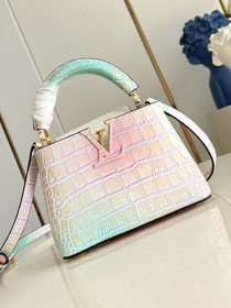 Louis vuitton original crocodile calfskin capucines mini handbag N93161 